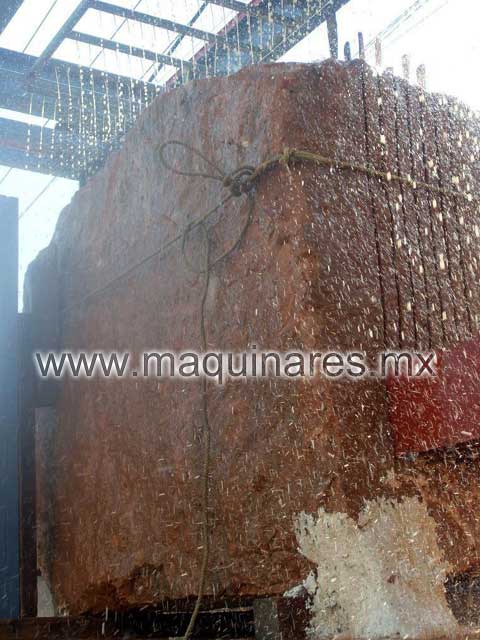 telarvc25001530hojas_04.jpg